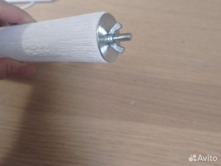 Домашние животные птицы