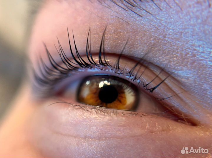 Ламинирование/окрашивание брови/ресницы