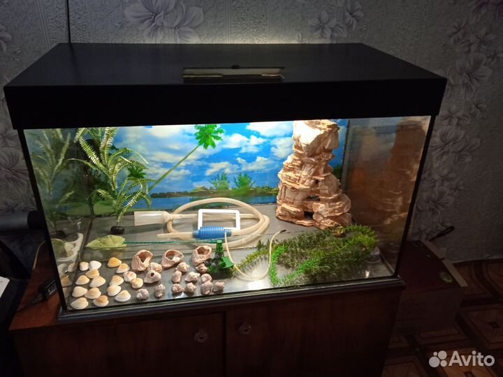 Аквариум