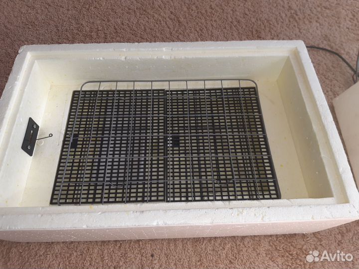 Инкубатор для яиц