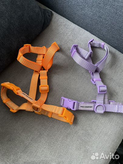 Амуниция для собак