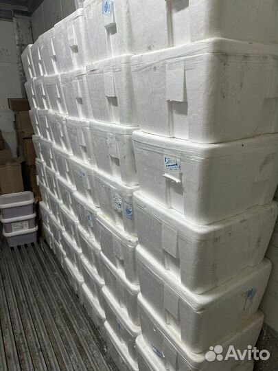 Икра лососевая оптом