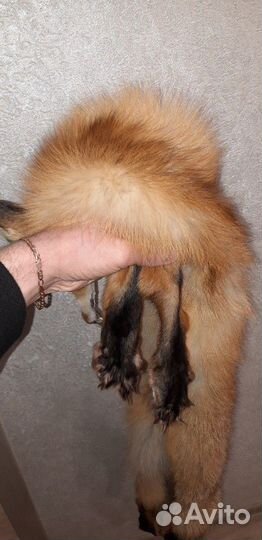 Шкурки выделанные (лиса, куница, сурок, енот)