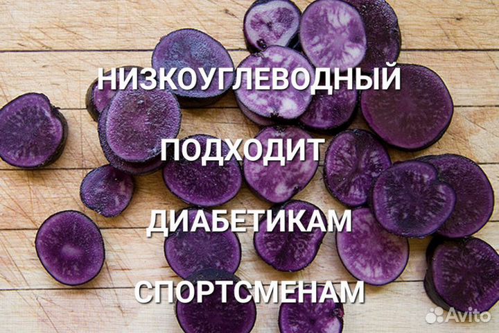Картофель Монах семенной и на еду