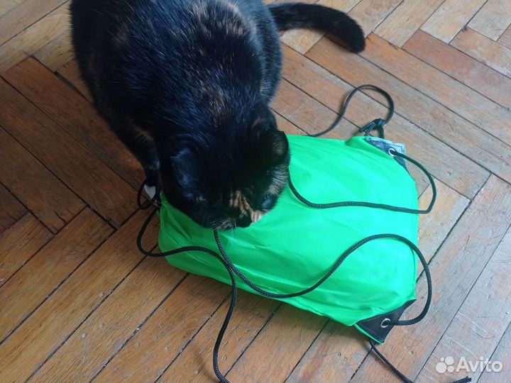 Кайт учебный 2.5 метра новый