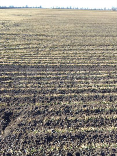 Участок 72 сот. (СНТ, ДНП)