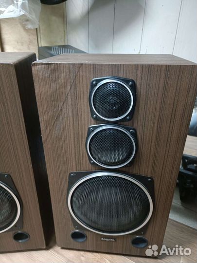 Акустическая система Орбита