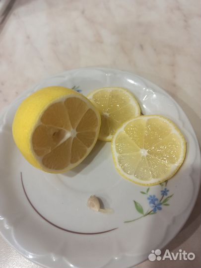 Лимон Мейер