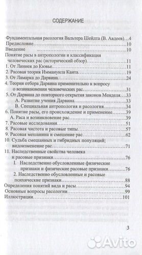 Шейдт Вальтер 