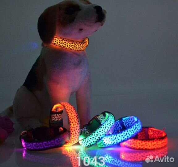 Светящиеся ошейники, фурминаторы