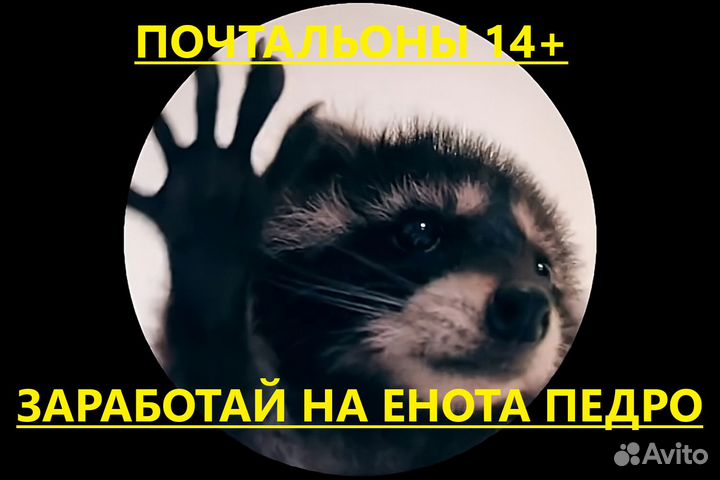 Почтальон\ежедневная оплата