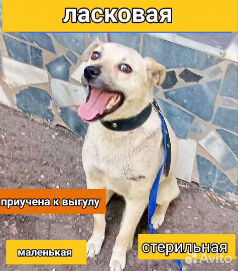 Маленькая ласковая