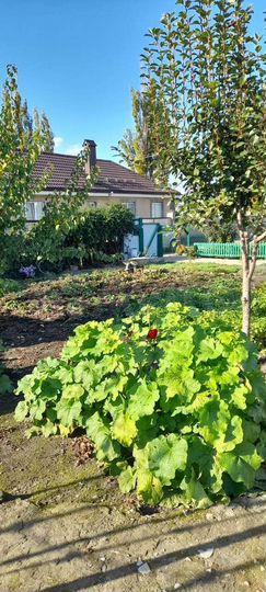 Дом 56,5 м² на участке 3 сот.