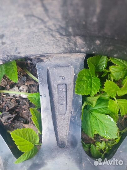 Диски литые 15 от hyundai solaris