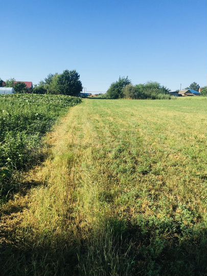 Участок 40 сот. (ИЖС)