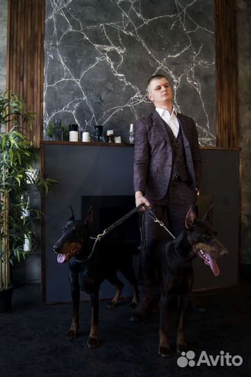 Фотосессия с доберманом