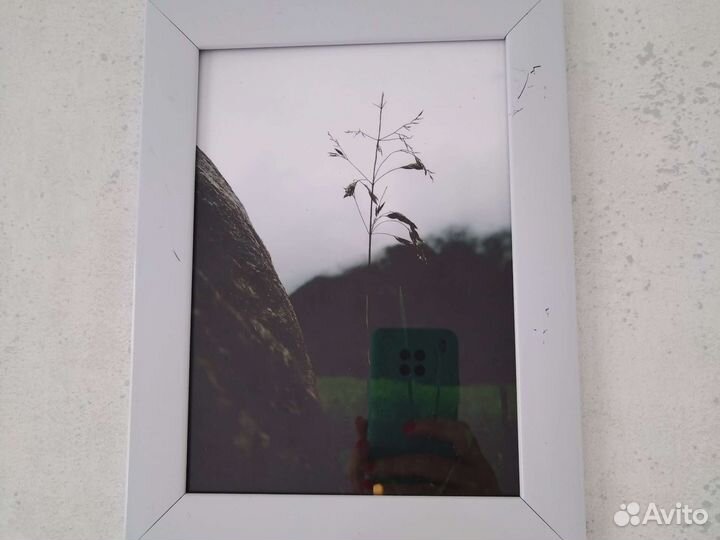 Картины и постеры