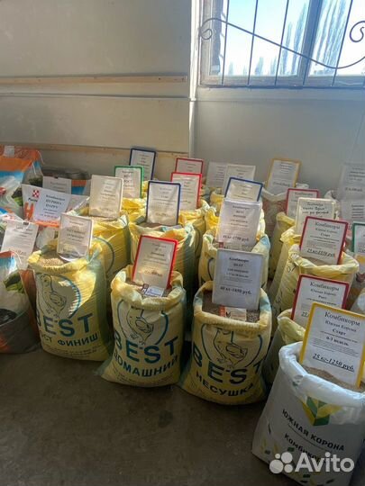 Комбикорм Пурина для яичной птицы Предкладка