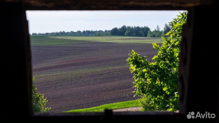 Экскурсия — Минск — «Назападных рубежах»— экскурси