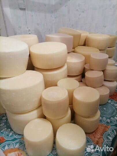 Козий сыр Канестрато