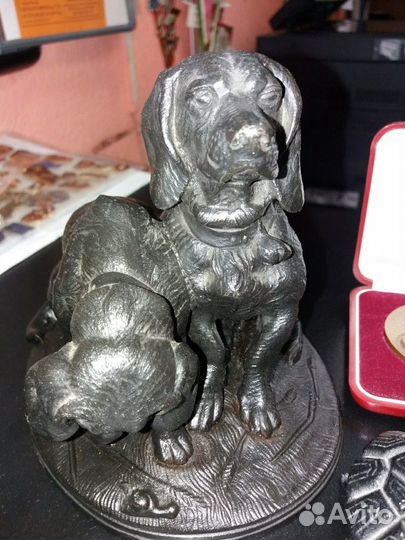 Коллекционирование