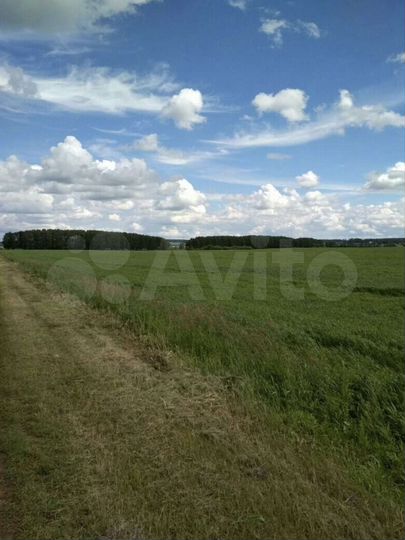 Участок 6 га (СНТ, ДНП)