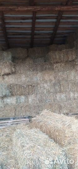 Солома в тюках, сено в рулонах