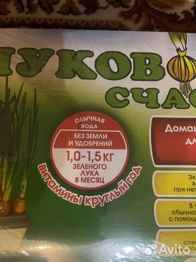 Луковое счастье