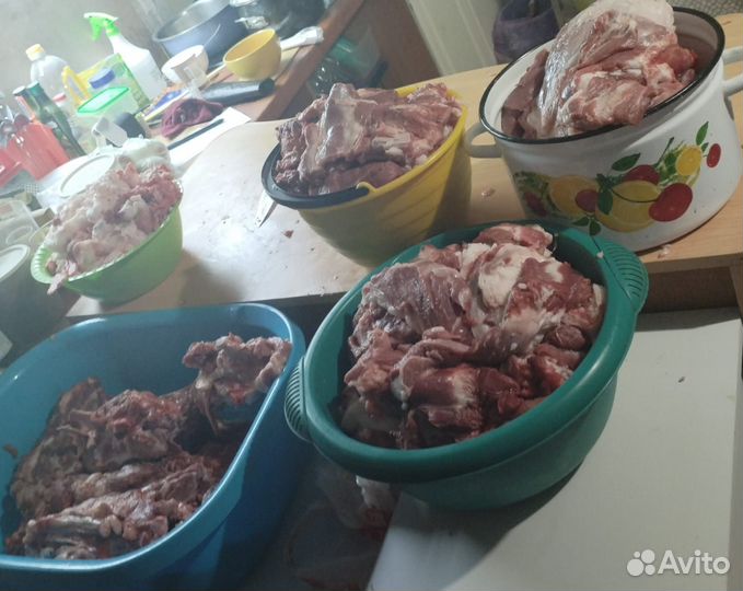 Мясо свинина домашняя