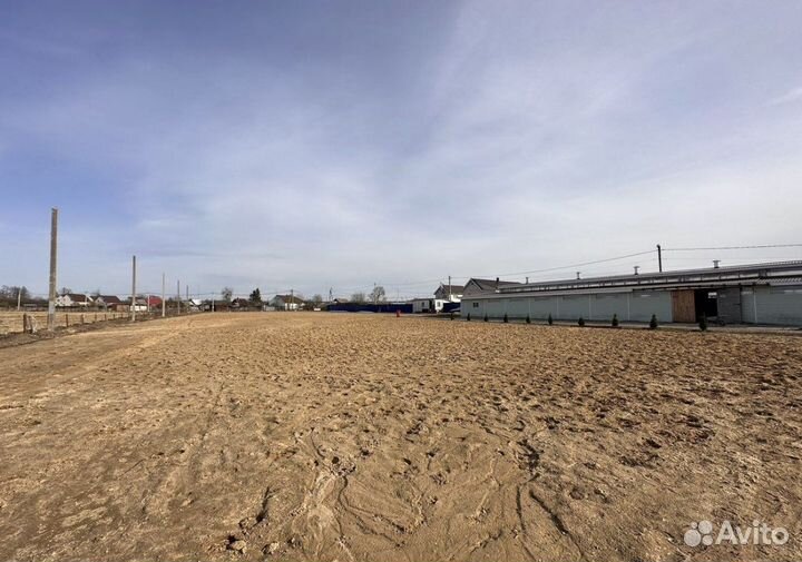 Уход за животными