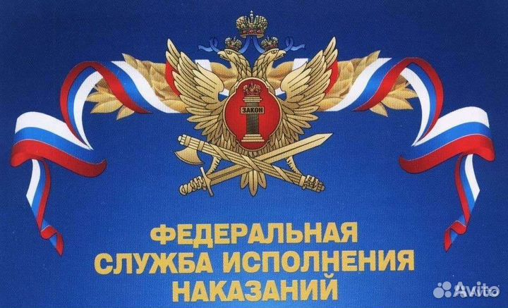 Младший инспектор отдела охраны