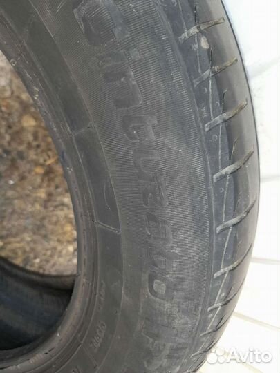 Pirelli Cinturato P1 195/65 R15