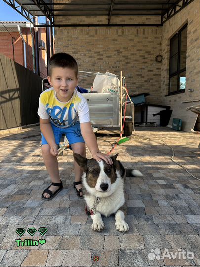 Тротуарная плитка антик