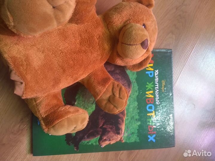 Книги детские про животных, 8 шт с игрушкой