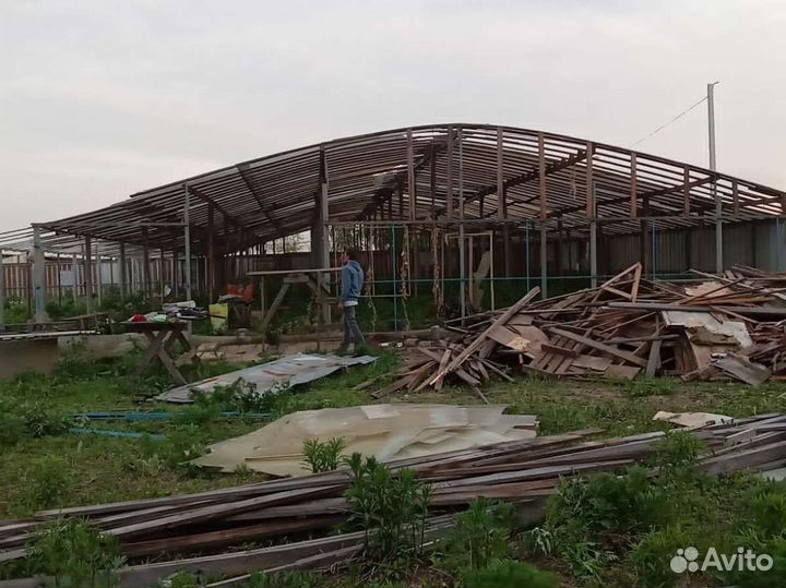 Дрова бесплатно