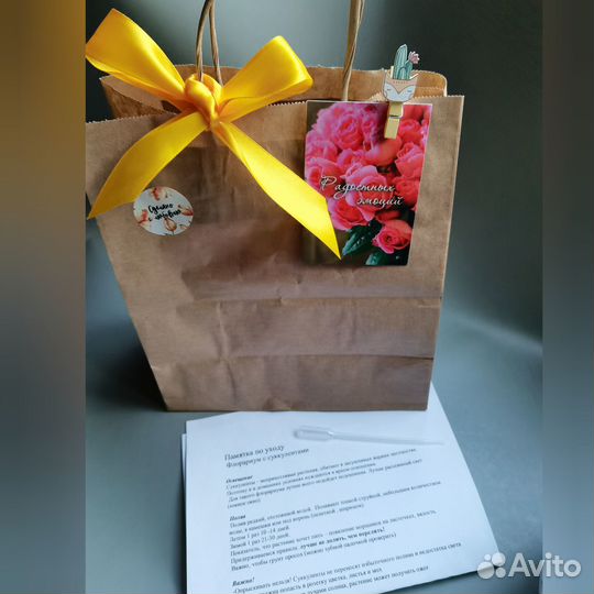 Флорариум суккуленты