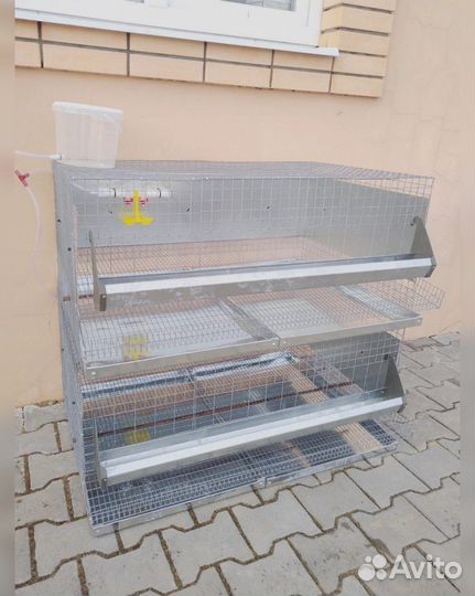 Клетка для 20 кур несушек