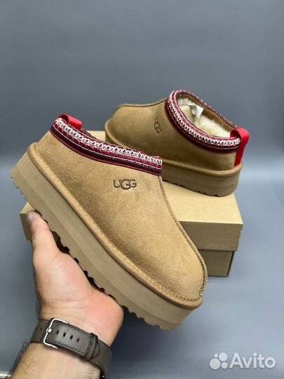 Угги / Ugg Tazz Tasman Chestnut Размеры 36-40