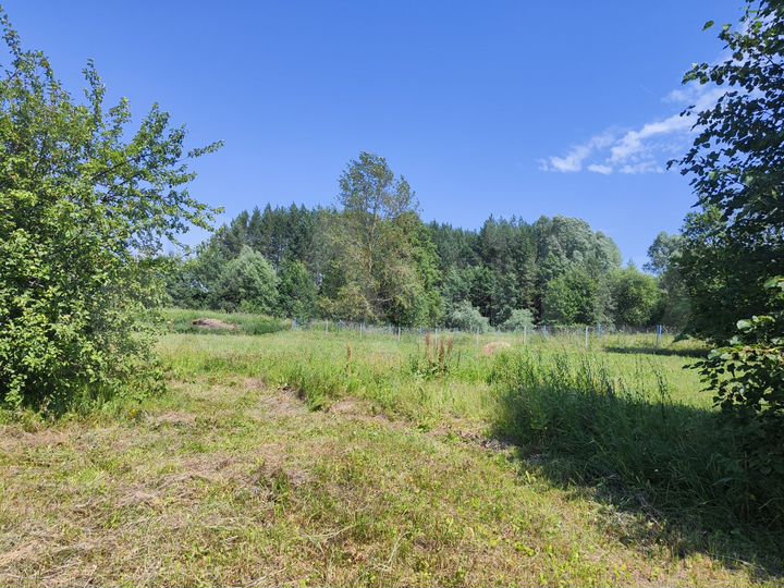 Участок 40 сот. (ИЖС)