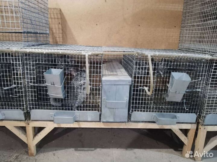 Клетки для кроликов и шиншилл, шиншиллы