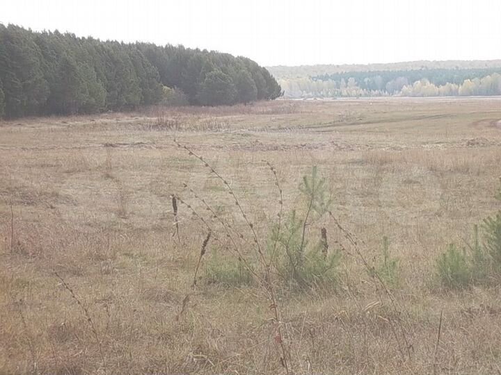 Участок 101 га (СНТ, ДНП)
