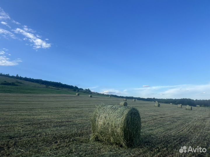 Сено в тюках