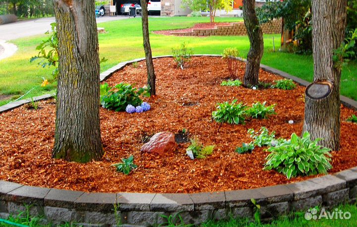 Кора сосны ангарской опт/розница от производителя