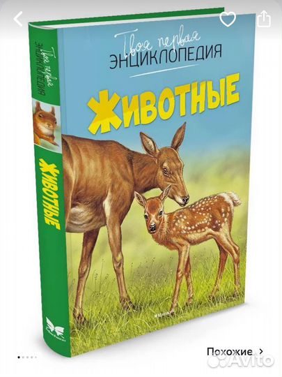 Новые энциклоп Животные Загадки природы Жизнь леса