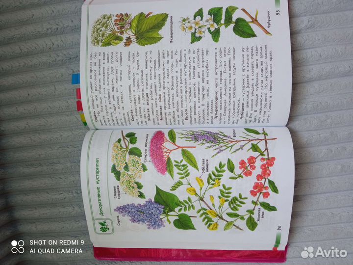 Школьная литература, атлас определитель