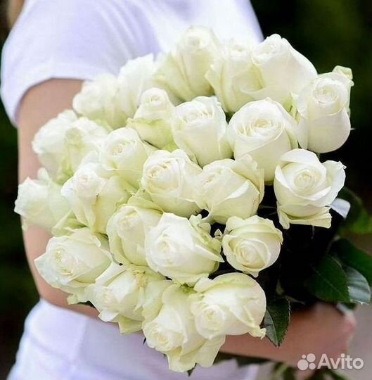 Высокие розы Гигантские розы с доставкой