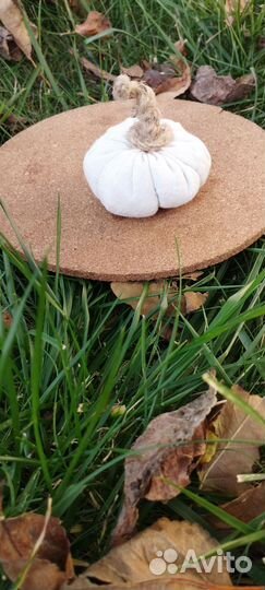 Тыковка для интерьера, игрушка, украшение