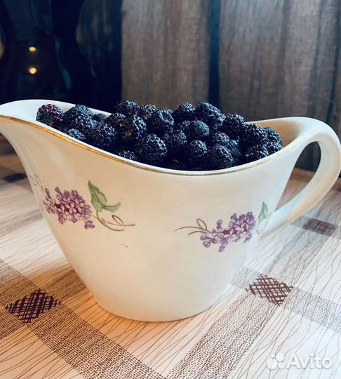 Соусник Буди сирень