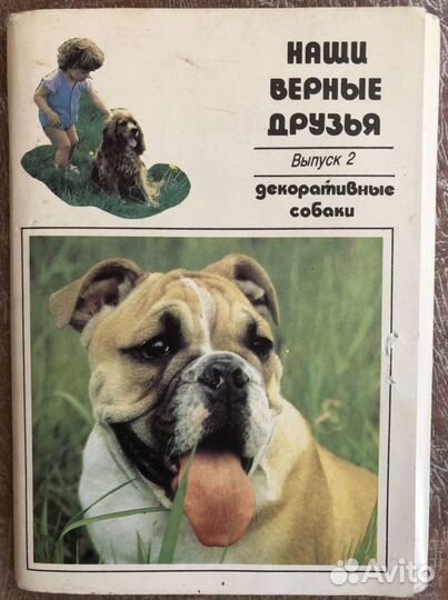 Набор открыток Наши верные друзья 2