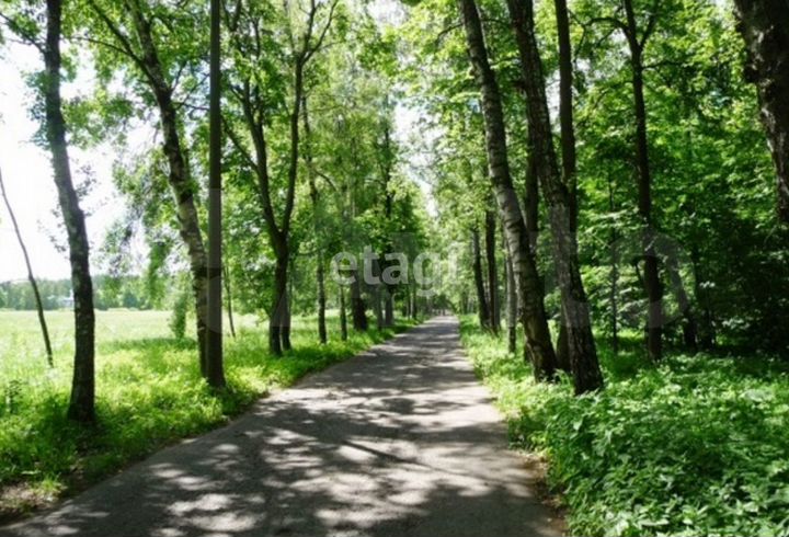 Участок 9,7 сот. (ИЖС)